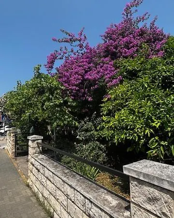 Mandarin Garden House בית נופש *